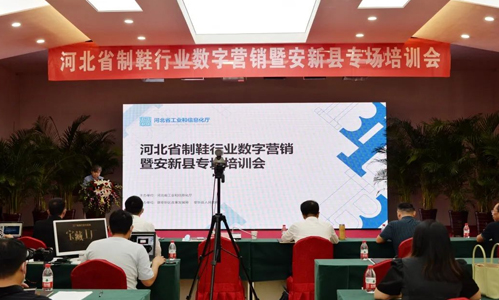 【為企業(yè)服務(wù) 創(chuàng)模范機關(guān)】以新型數(shù)字營銷模式引導(dǎo)企業(yè)進(jìn)入營銷新賽道